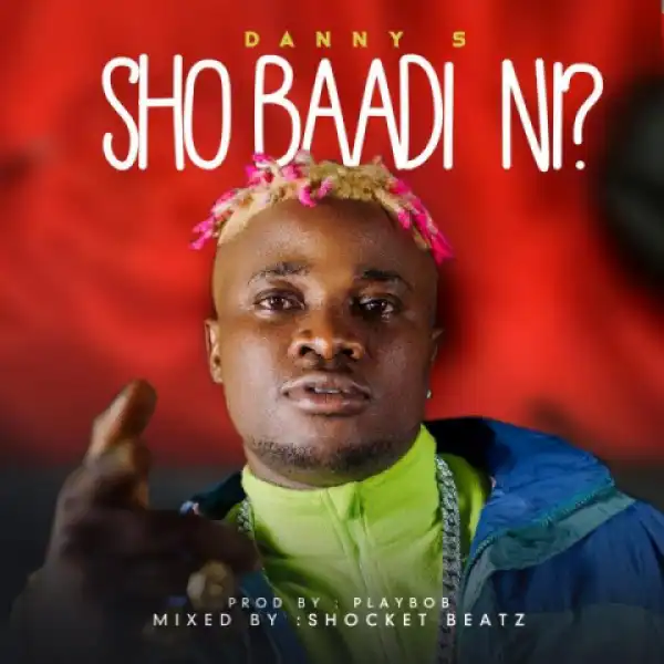 Danny S - Sho Baadi Ni